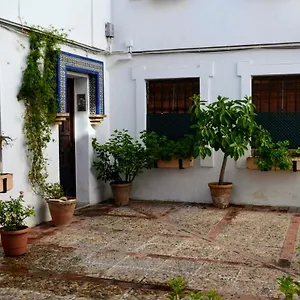 El Patio De La Aljama Cordoba